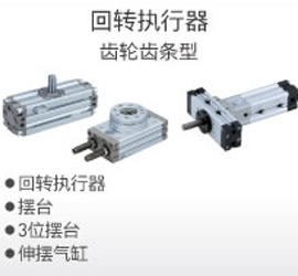 回转执行器 齿轮齿条型